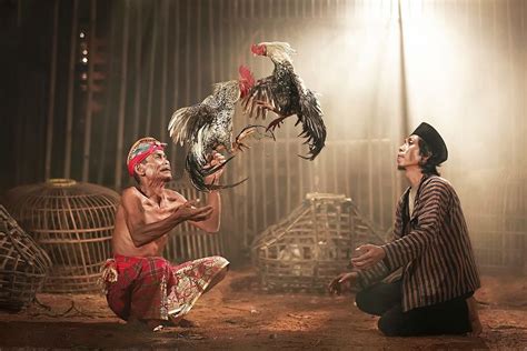 Cockfight By Rizal Arnex Via 500px Rooster Art Mexican Culture Art Bull Images