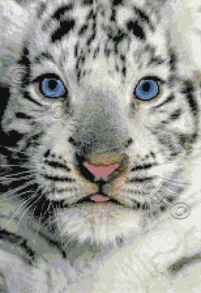 White Tiger Cub Cross Stitch Kit Pattern Yiotas Xstitch Tiger