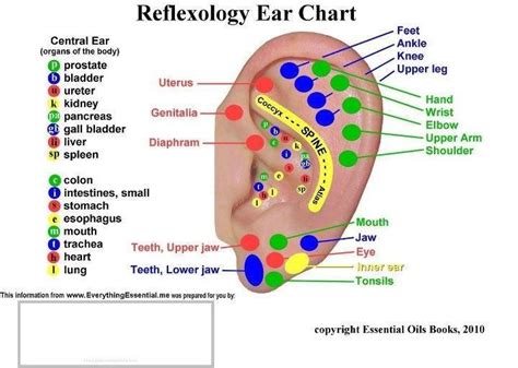 Pin On Tinnitus Relief