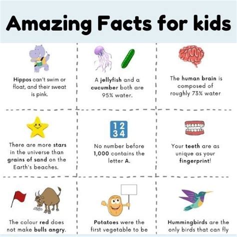 Fun Facts For Kids 30 Facts For Kids Every Kid Should Know Animal