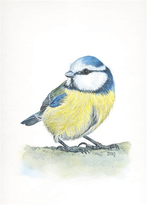 Blue Tit Bird Print 5x7 Of Watercolor Painting 5 By Etsy