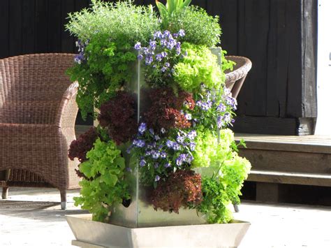 Pflanzen, die halbschatten bevorzugen, eignen sich ausgezeichnet für den vertikalen garten zu hause. Vertikaler Garten DIY - Wie Sie ihn aus Paletten einfach ...