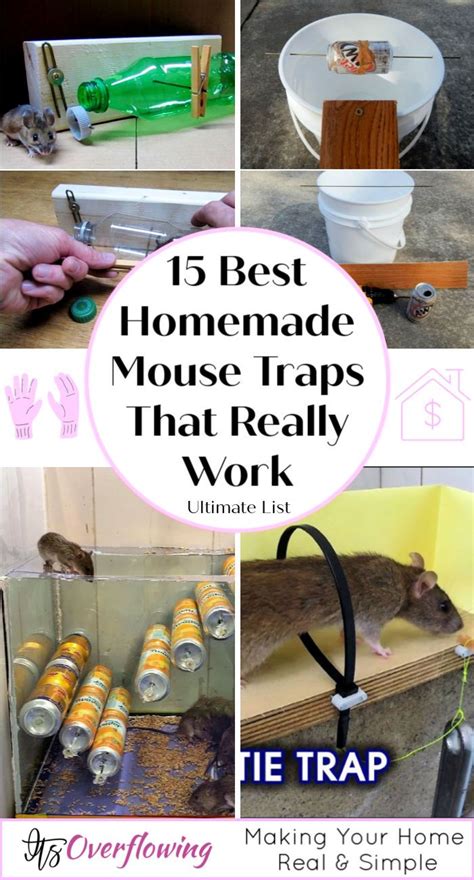 So, let's discuss some amazing mouse traps that you can easily make at home: 15 Best Homemade Mouse Trap Ideas That Really Work ...