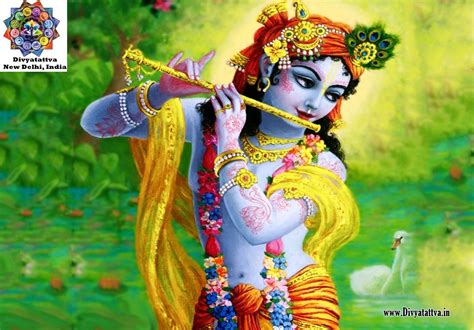 incredible collection of radha krishna hd images download top 999 high quality radha krishna
