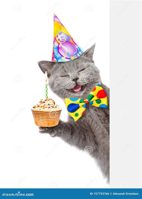 Happy Birthday Cats Pictures