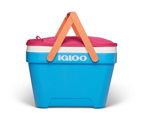 Buy Igloo 25 Qt Picnic Basket Cooler Pink And Blue Online In India