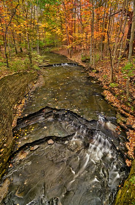 North Chagrin Reservation