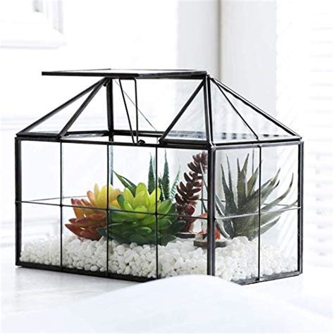 Top 10 Mini Glass Greenhouse Greenhouses Sepole