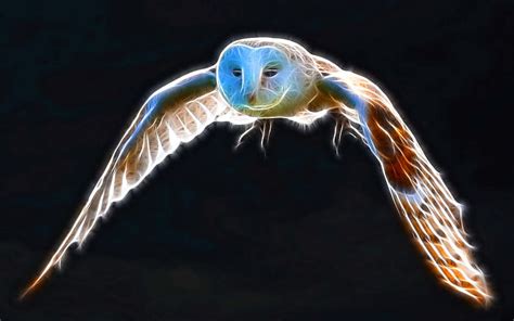 Flight Of Snowy Owl Sparkle Fractalius Bird Flight Wing Snowy Owl