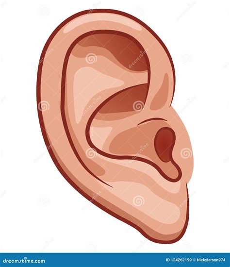 Vector Ear On White Background Stock Vector Illustration Of Icon