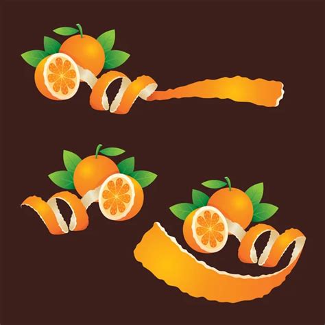 ᐈ Orange Peel Drawing Stock Illustrations Royalty Free Orange Peel