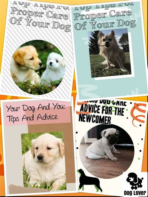 You And Your Dog Tips For A Great Relationship Dogs Your Dog Pet