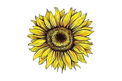 Sunflower Cricut Sunflower Mandala Svg Free 81 Best Quality File