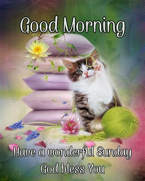 Kitty And Yarn Good Morning Wonderful Sunday Pictures Photos And Images