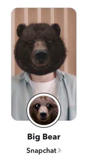How To Get The Bear Face Filter On Snapchat Jypsyvloggin