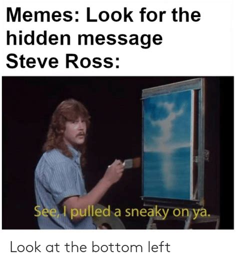 Memes Look For The Hidden Message Steve Ross See Pulled A Sneaky On Ya