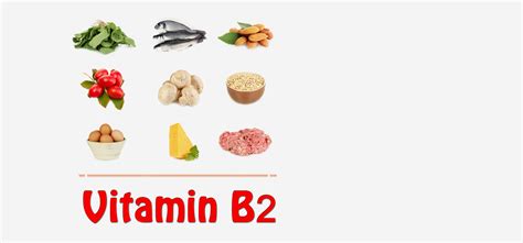 Vitamin b12 is an essential part of several enzyme systems that carry out a number of basic metabolic functions. Top 10 Vitamin B2 Rich Foods You Should Include In Your ...