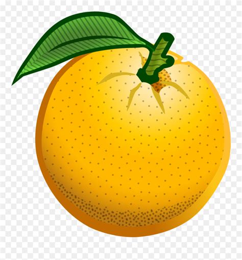 Onlinelabels Clip Art Orange Fruit Clipart Png Transparent Png