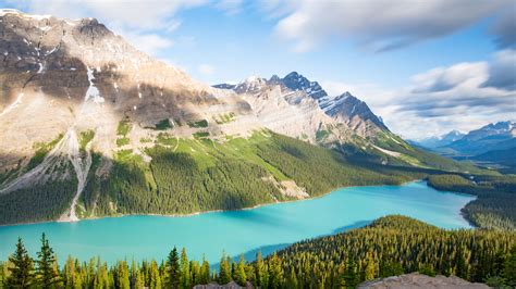 Lake Mountains Trees Spruce Landscape 4k Hd Wallpapers Hd Wallpapers Id 32578