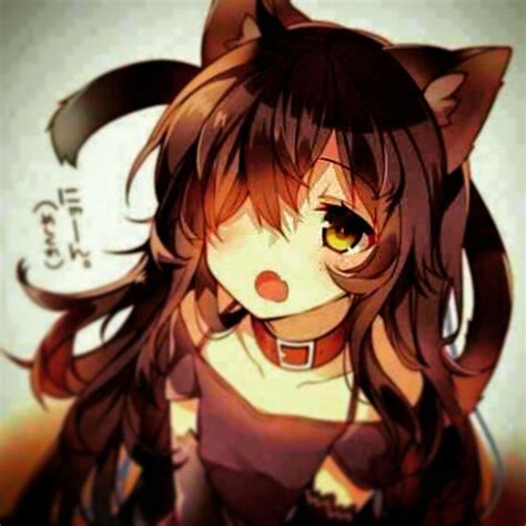 Nekos Wiki Anime Amino