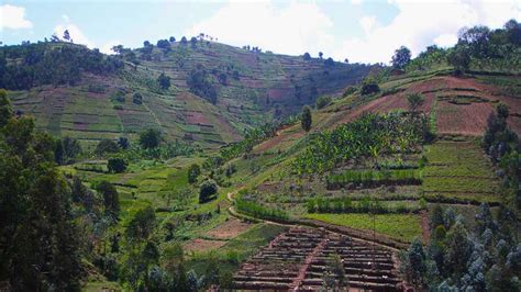 Mountains dominate the landscape of western rwanda. Smart help for Rwandan farmers | Global Environment Facility