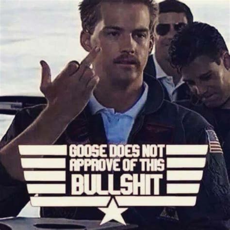 Top Gun Goose Dies Meme Drone Fest