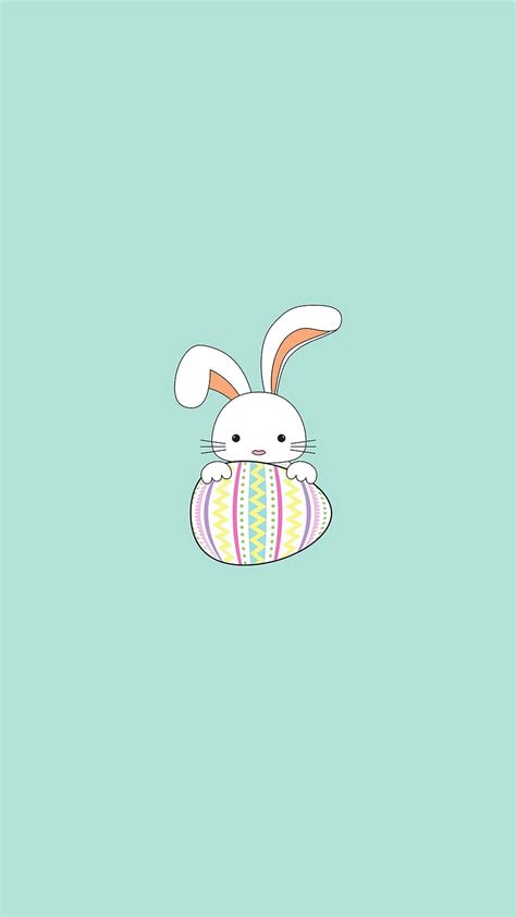 1920x1080px 1080p Free Download Cute Bunny Adorable Funny Bunnies