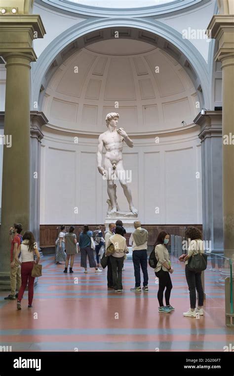 Estatua De David De Miguel Ángel Galería De La Academia Florencia