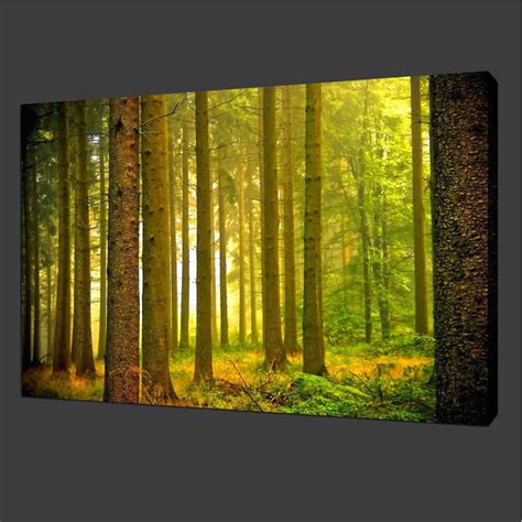Canvas Prints Home Decor Pictures Modern Wall Art