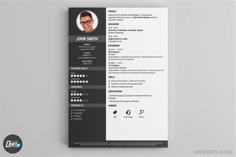 Cv Maker Professional Cv Examples Online Cv Builder Craftcv