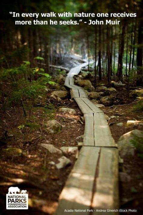 80+ inspirational hiking quotes, quotes about hiking with friends, funny hiking quotes, hiking quotes for instagram caption, and quotes about hiking in nature. Acadia National Park (With images) | Nature quotes adventure, Nature quotes, Hiking quotes