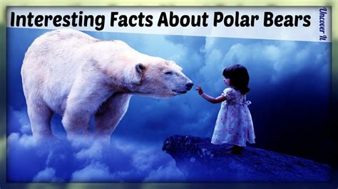 20 Facts About Polar Bears