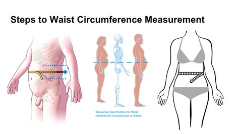 HFN Waist Circumference Measurement YouTube