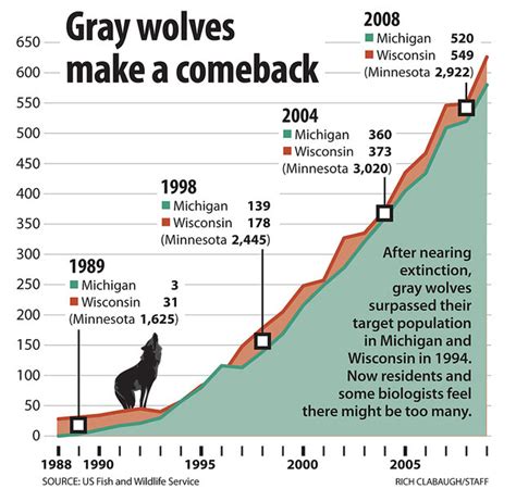 Gray Wolf Comeback Worries Midwest