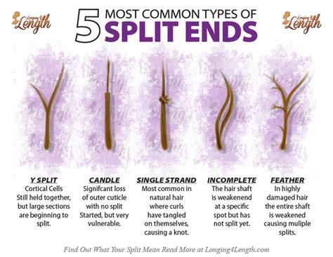 Hair color is the pigmentation of hair follicles due to two types of melanin: Pin on L4L Healthy Hair Talk