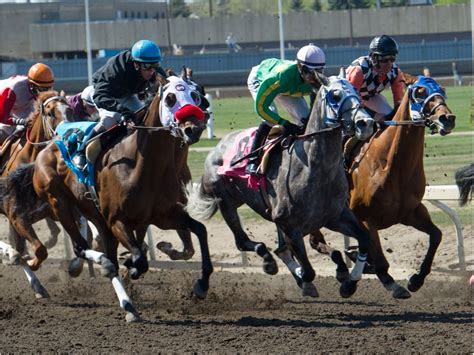 New Edmonton Area Horse Racing Track To Be Built By