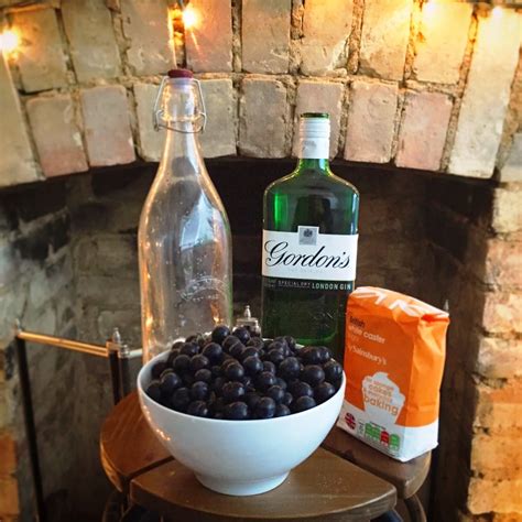 How To Make Sloe Gin Heres How Its Done Biggsy Travels