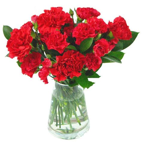 Order and send best birthday gits online to your loved ones for delivery. Red Carnations - UK flower delivery by Clare Florist.