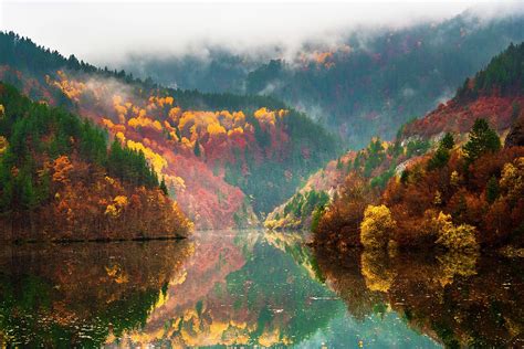 Autumn Lake Photograph By Evgeni Dinev Fine Art America