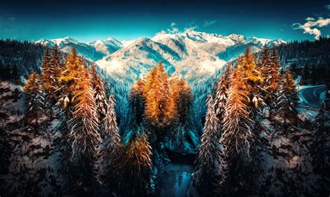 Snow Landscape Mountains Trees Forest 5k Hd Nature 4k Wallpapers