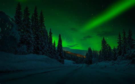 Norway Night Winter Snow Road Trees Trees Stars Stars Sky Polar Lights