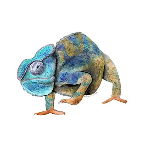 Watercolor Chameleon At Getdrawings Free Download