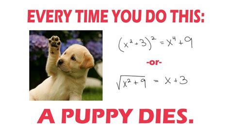 Funny Math Wallpapers Kill Puppy Math Meme 1920x1080 Wallpaper