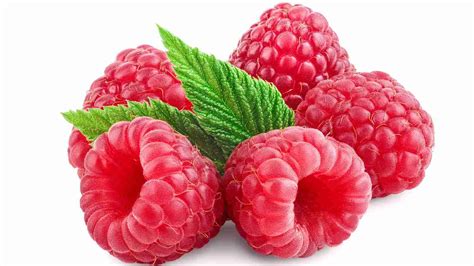 Raspberries Boost Your Harvest With These Tips 1