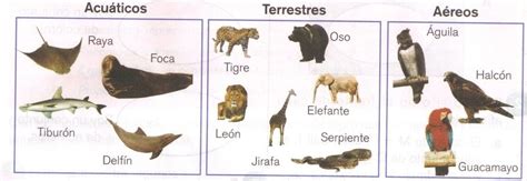 Los Animales Bbbb