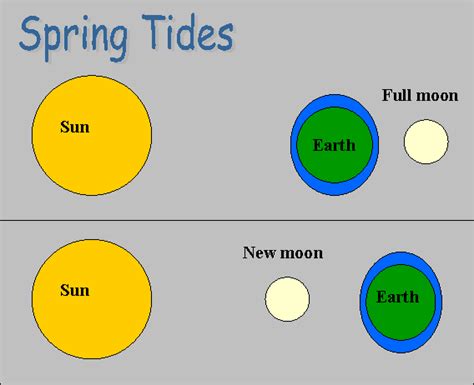 Spring Tides And Neap Tides