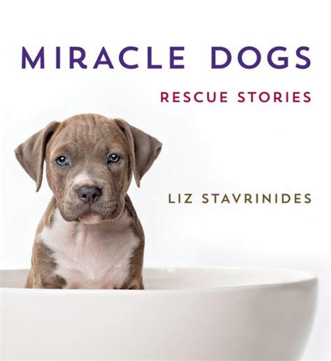 Miracle Dogs Rescue Stories By Liz Stavrinides Hardcover