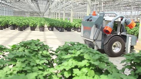 Robots Working At Metrolina Greenhouses Youtube