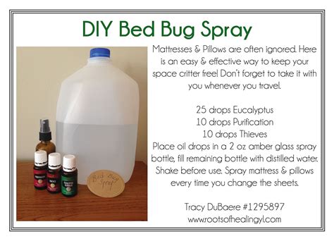 Diy Bed Bug Spray With Essential Oils Bed Bugs Essential