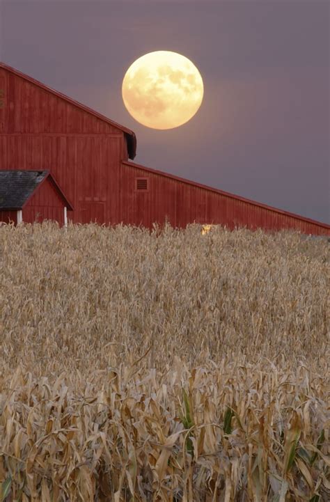 14 Gorgeous Harvest Moon Photos That Will Make You Love Autumn